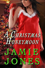 A Christmas Honeymoon -- Jamie Jones